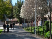 Cornellà compleix deu anys de transformació verda amb el projecte Cornellà Natura