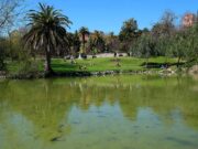 Inicia la renaturalització de l’aigua del llac de Can Mercader amb una prova pilot