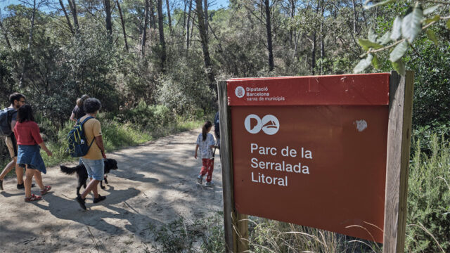 noticia_1782220564.jpg