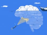 Descobrir el paper del cervell en el metabolisme i la infertilitat