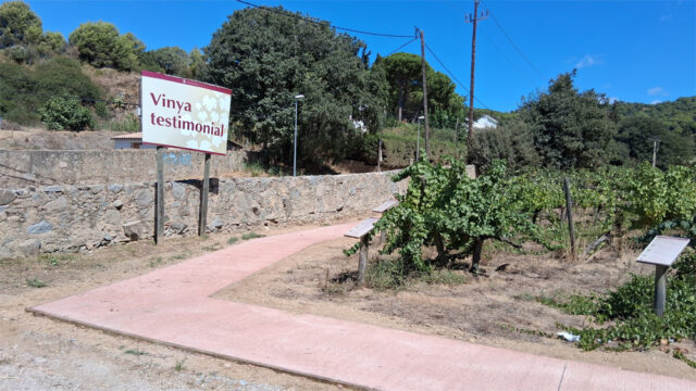 noticia_1789564695.jpg
